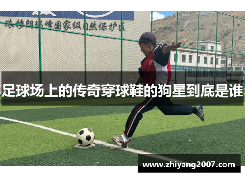 足球场上的传奇穿球鞋的狗星到底是谁
