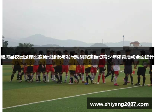 陆河县校园足球比赛场地建设与发展规划探索推动青少年体育活动全面提升